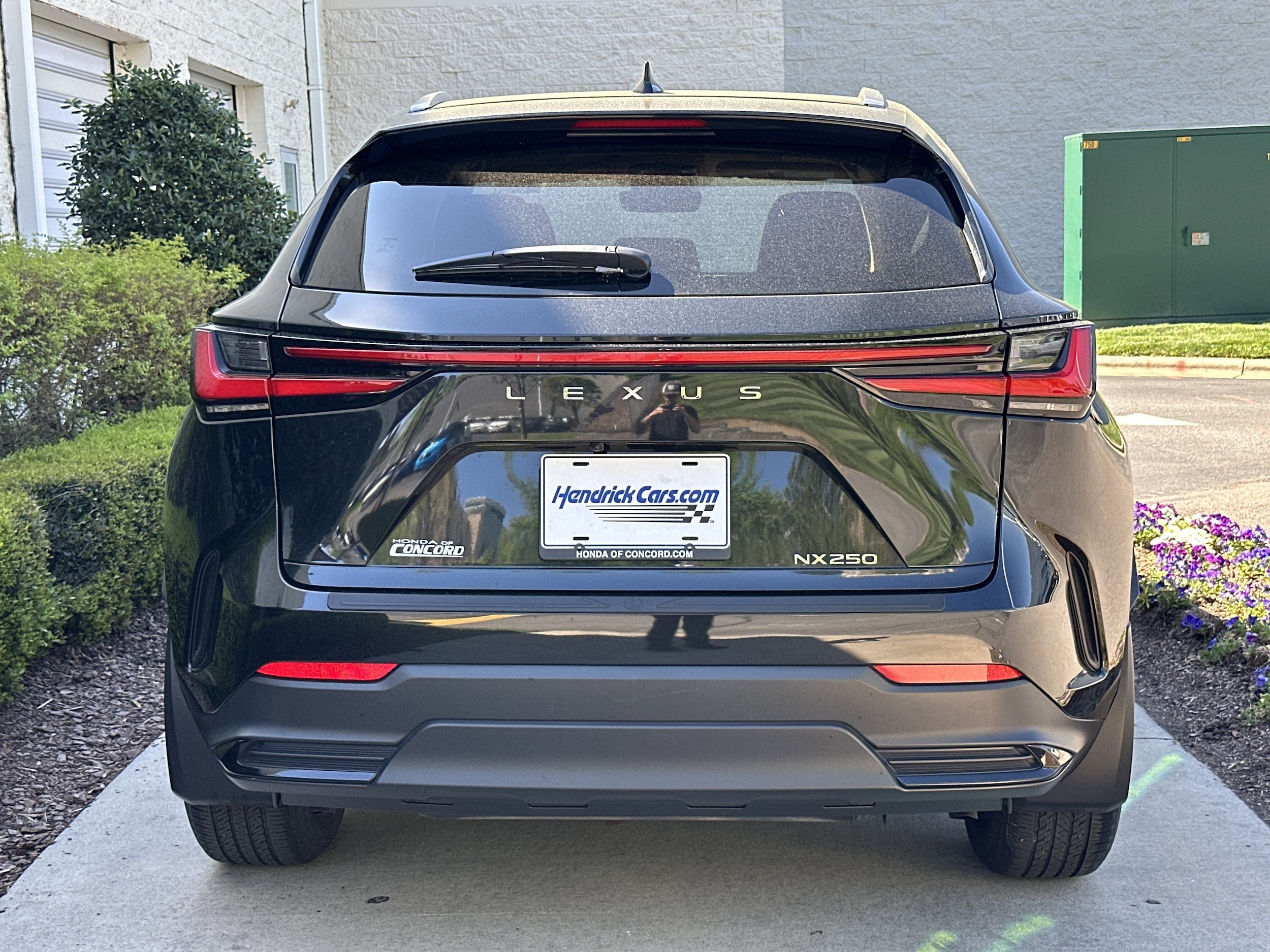 2024 LEXUS NX NX 250 photo 5