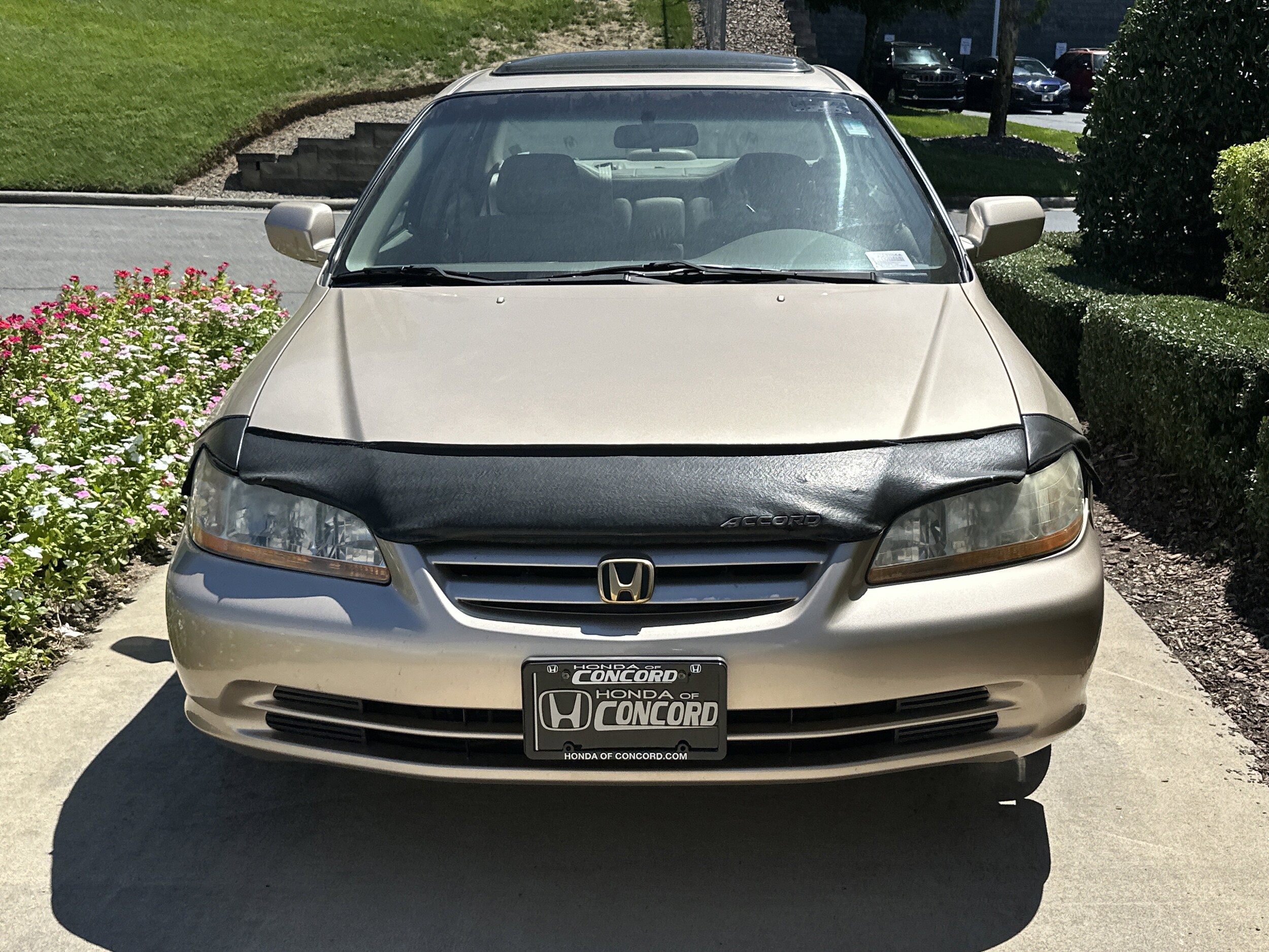 2001 Honda Accord EX photo 2