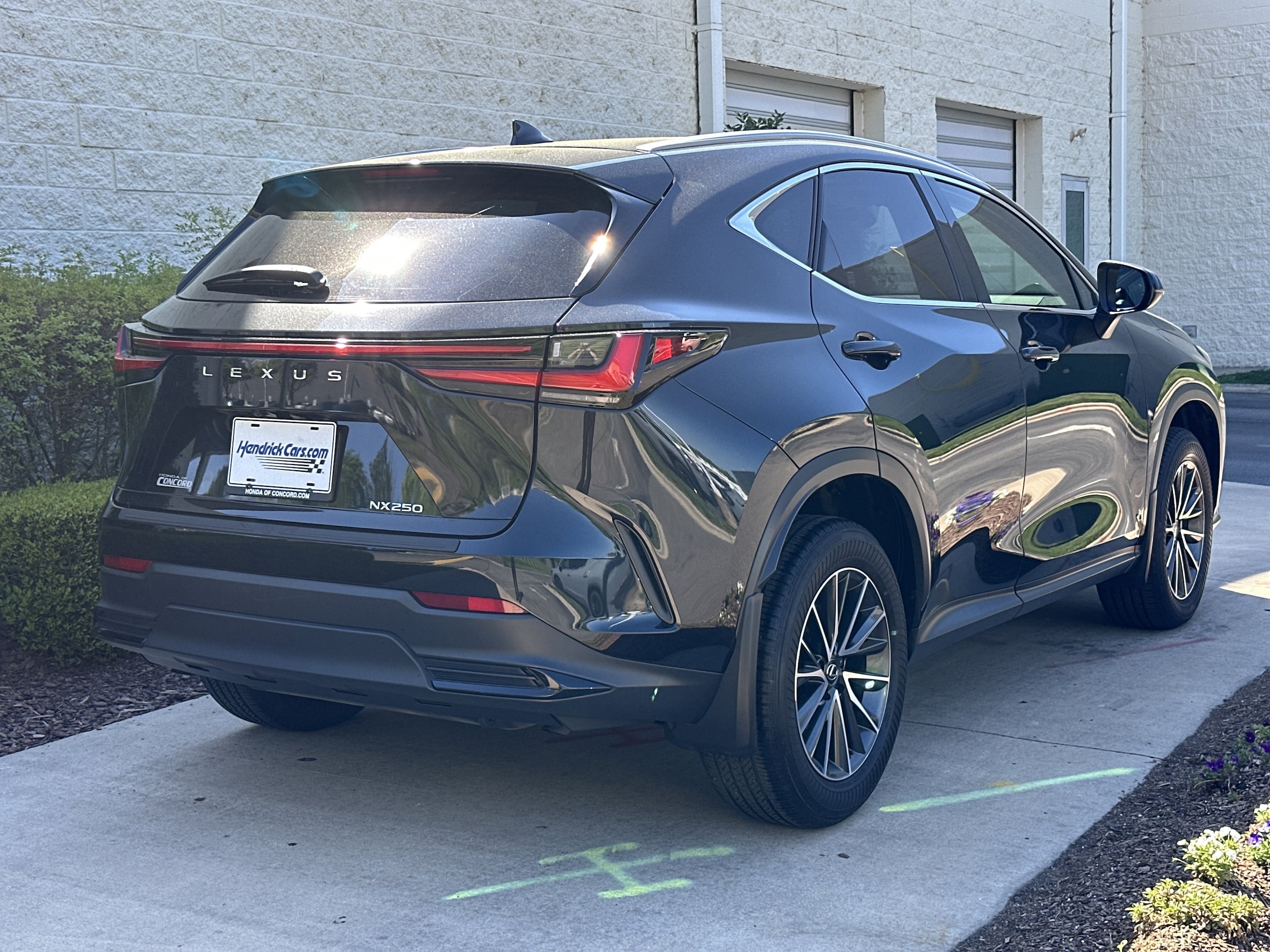 2024 LEXUS NX NX 250 photo 6