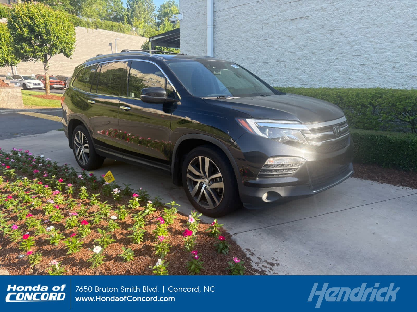 2017 Honda Pilot 4WD Elite's photo
