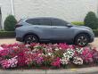 2022 Honda CR-V Special Edition SUV