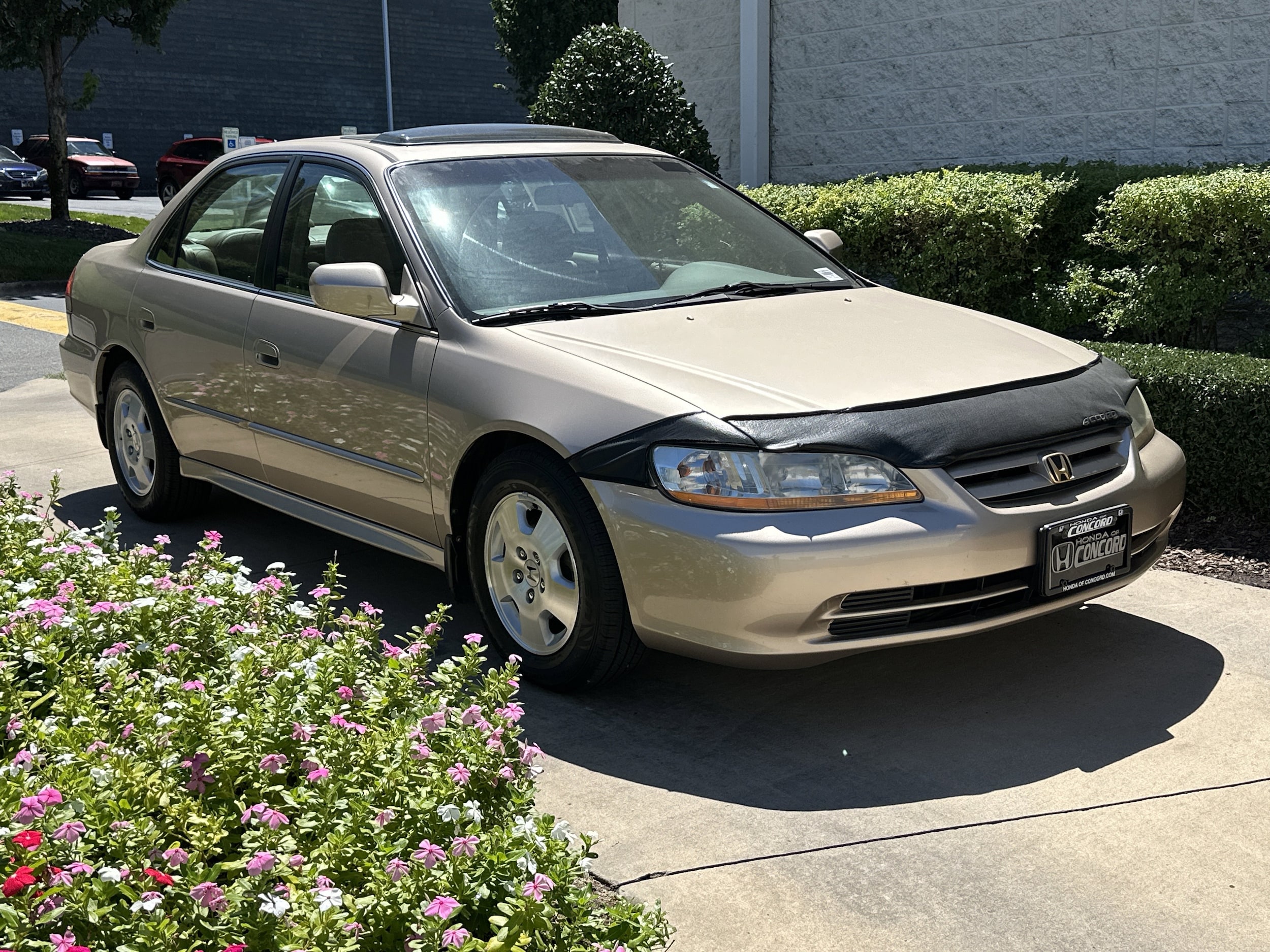 Used 2001 Honda Accord EX Leather with VIN 1HGCG16511A037573 for sale in Charleston, SC
