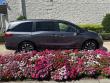 2022 Honda Odyssey EX-L Minivan
