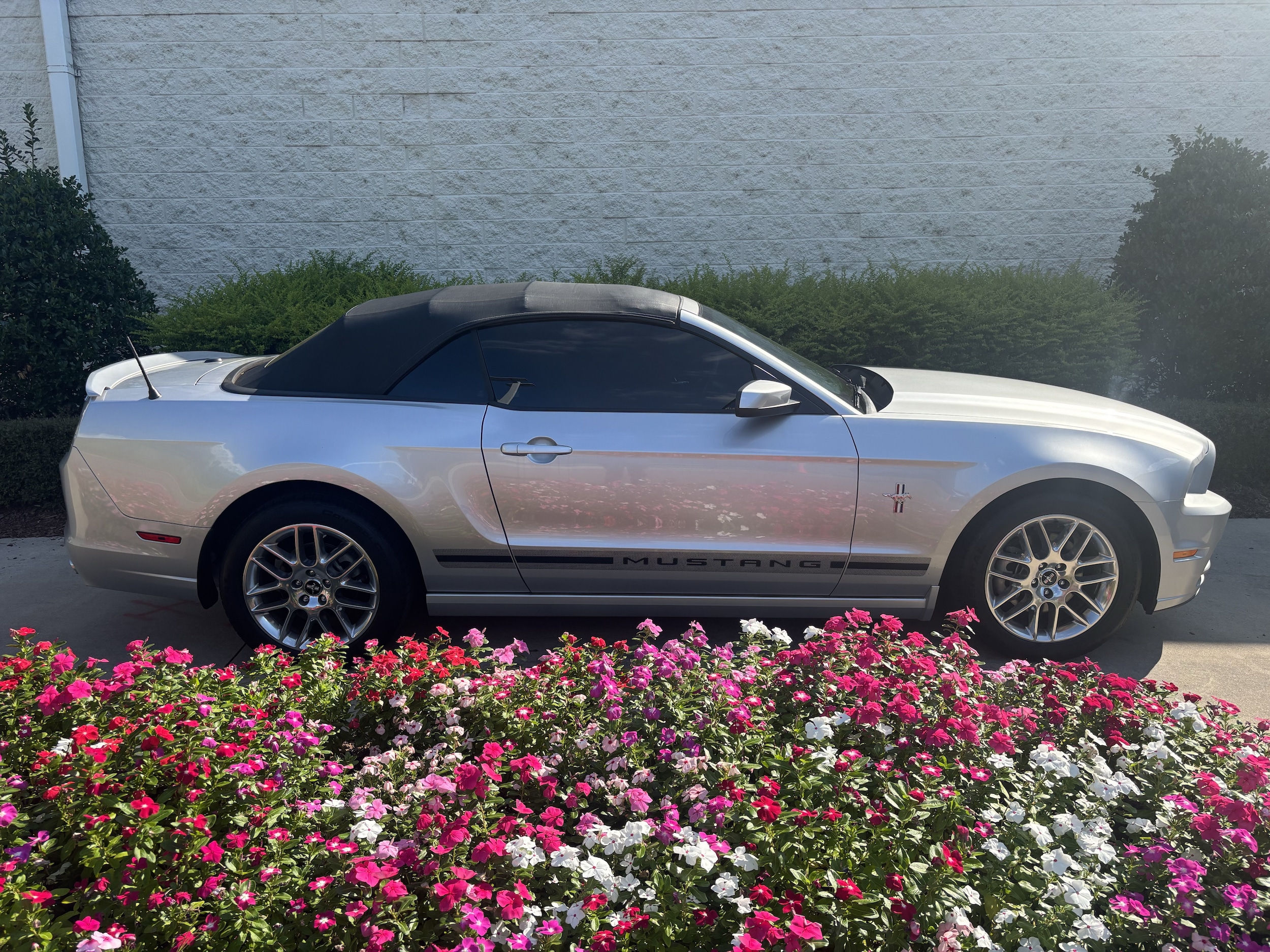 Ford Mustang V6 Premium