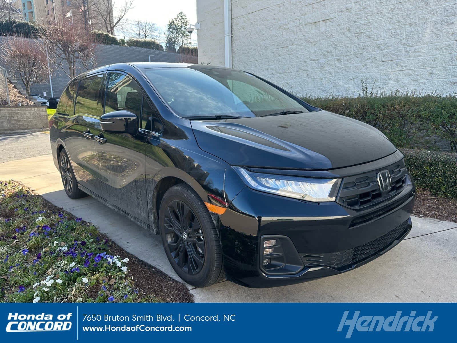 2025 Honda Odyssey Sport L's photo
