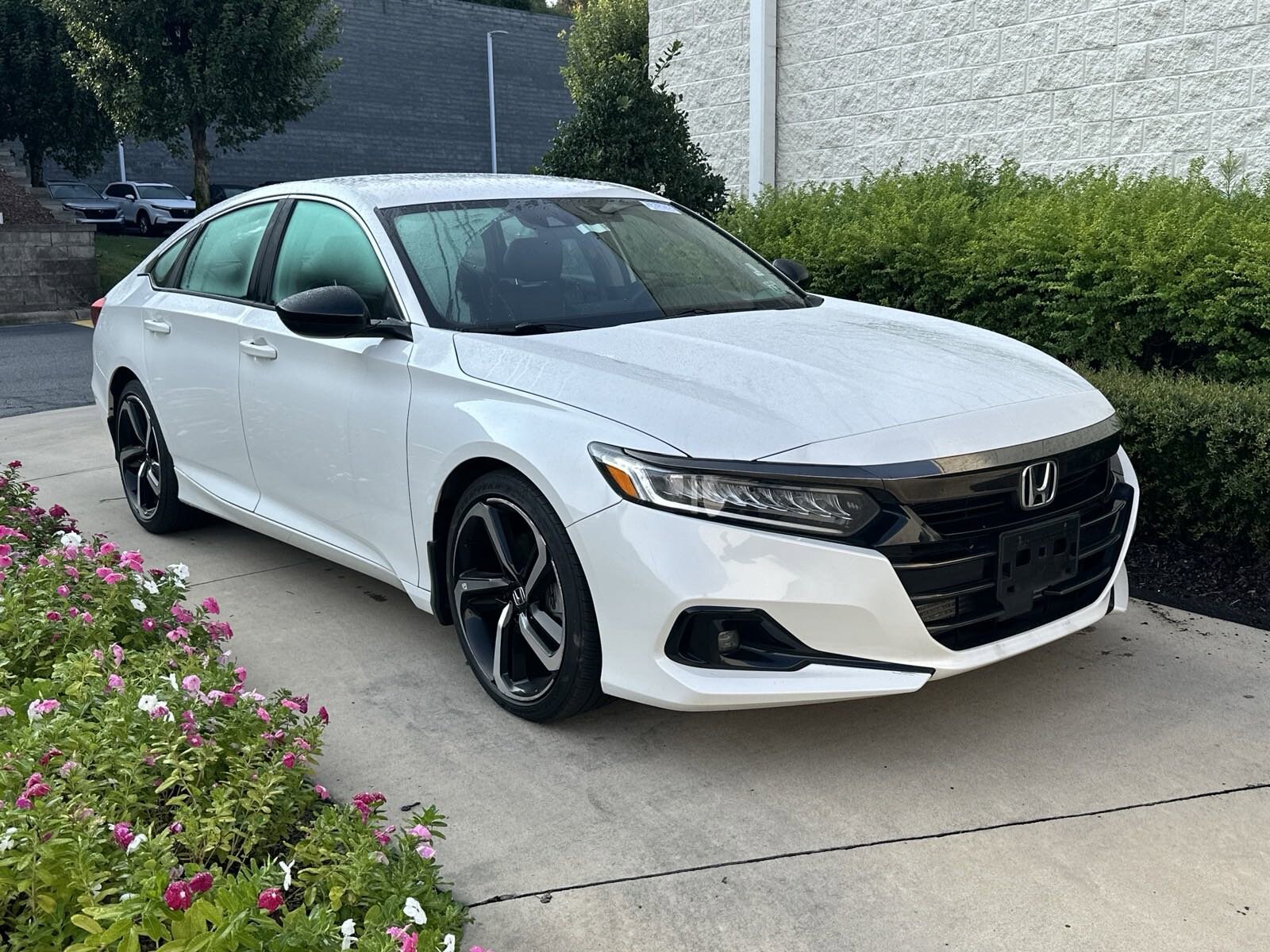 Certified 2022 Honda Accord Sport SE with VIN 1HGCV1F49NA113110 for sale in Concord, NC