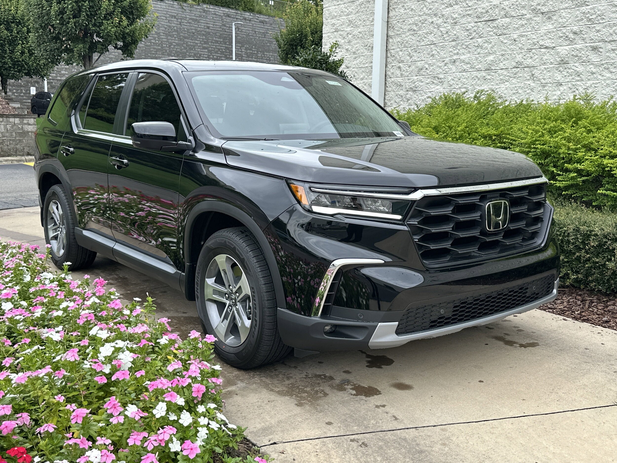 2025 Honda Pilot EX-L photo 2
