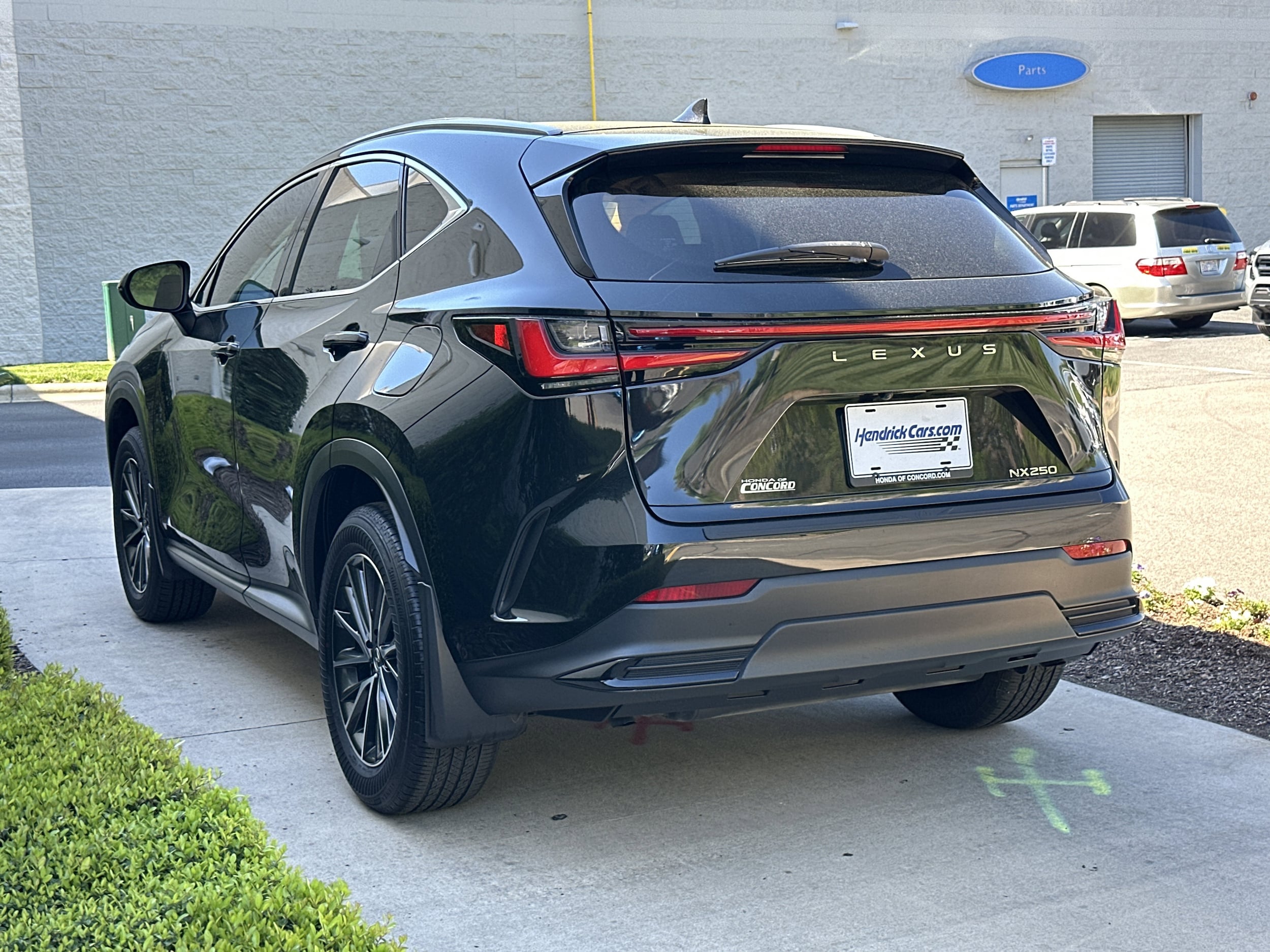2024 LEXUS NX NX 250 photo 4
