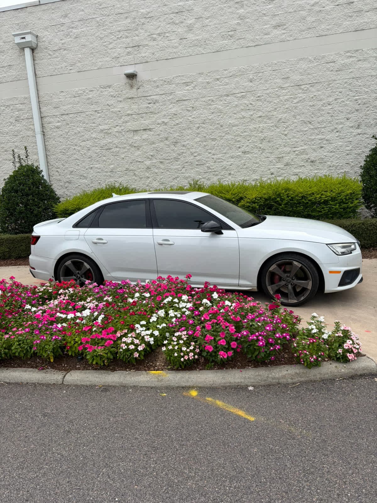 Audi S4 Premium Plus