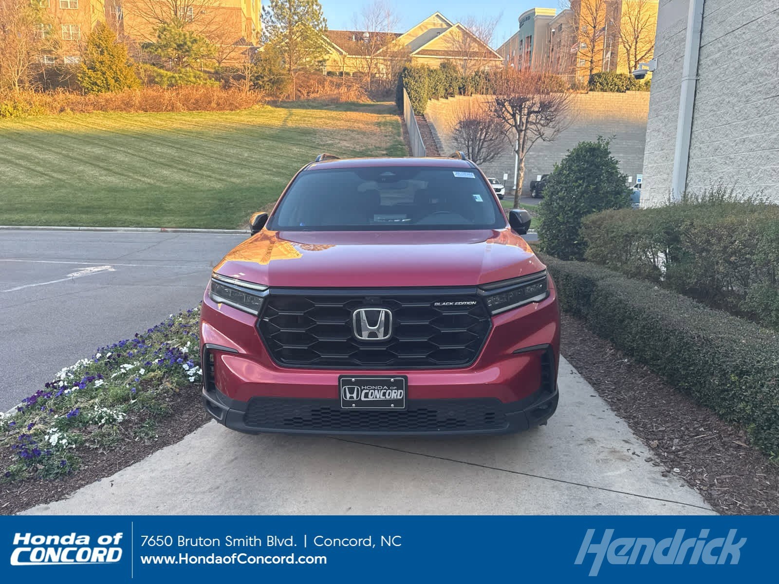 2025 Honda Pilot Black Edition's photo