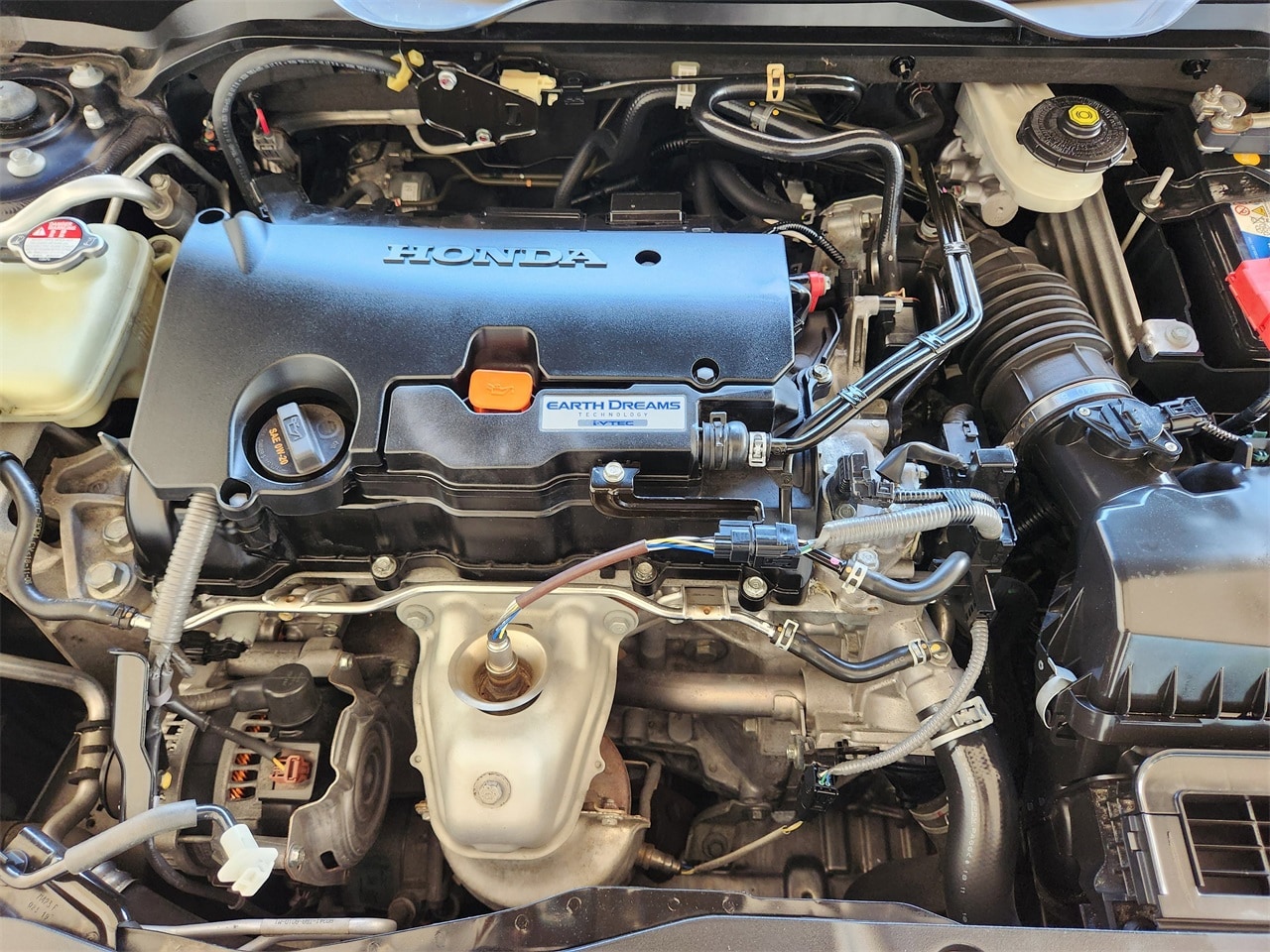 View 29