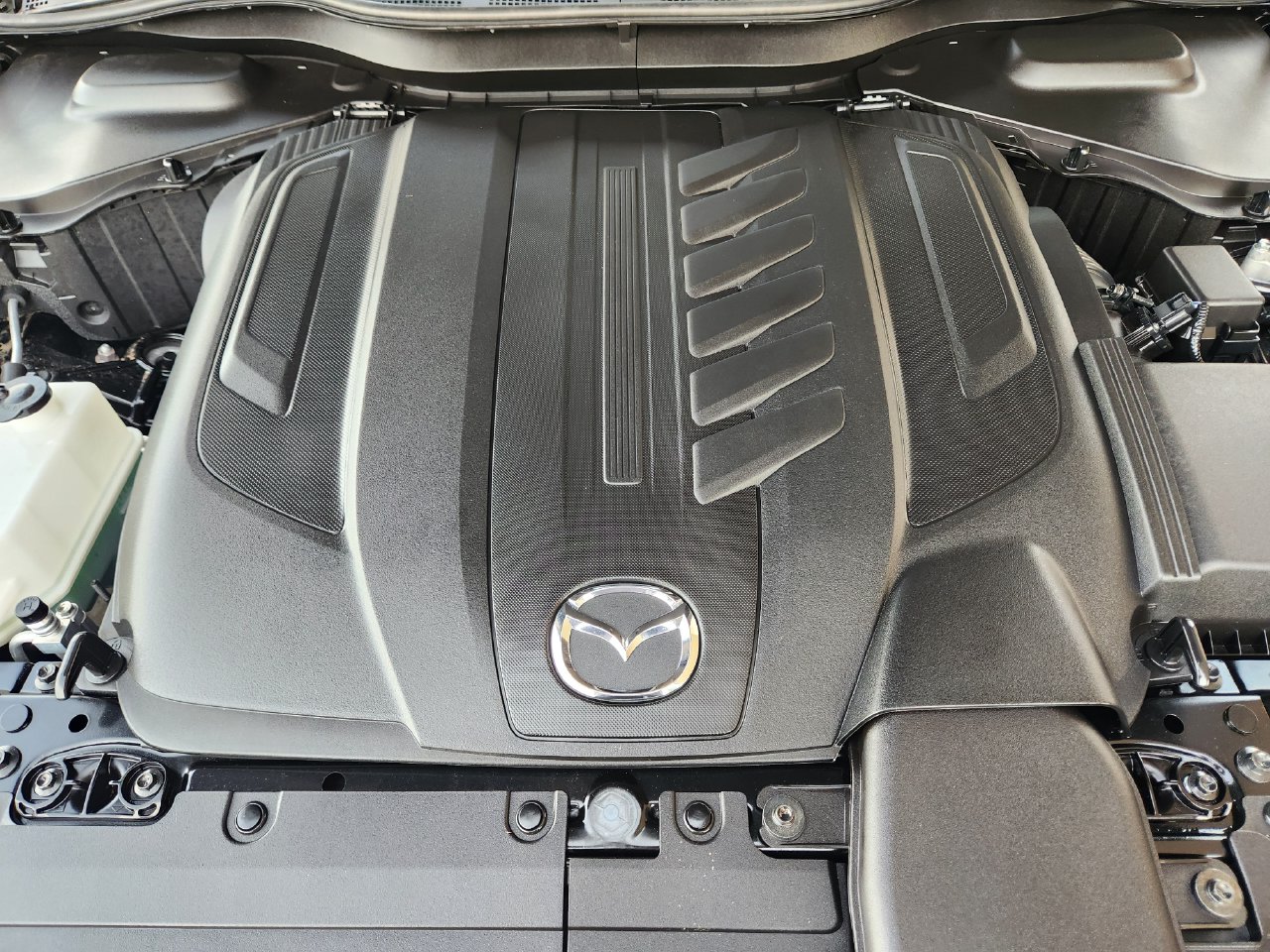 Photo 31