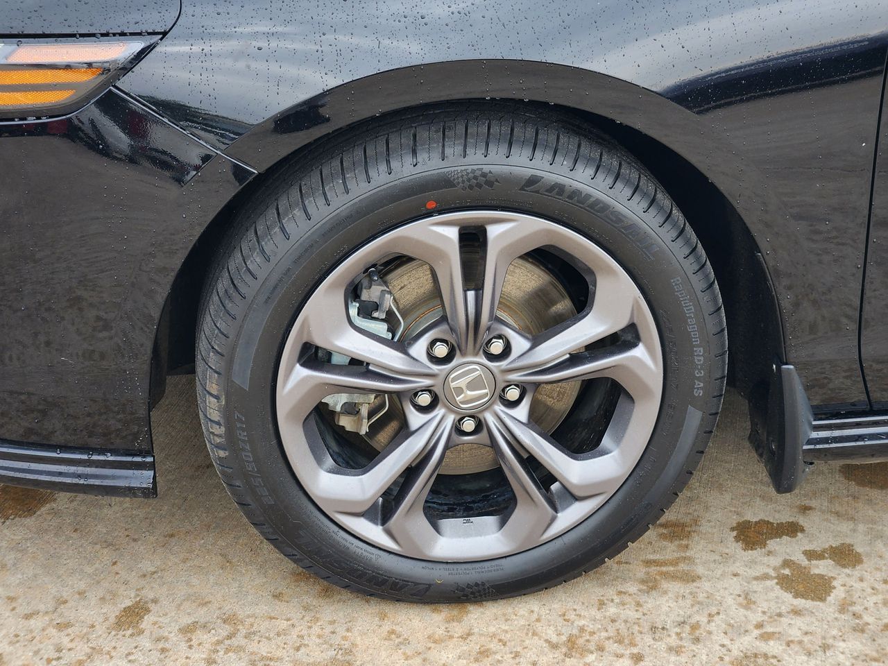 2024 Honda Accord Hybrid EX-L - Photo 10