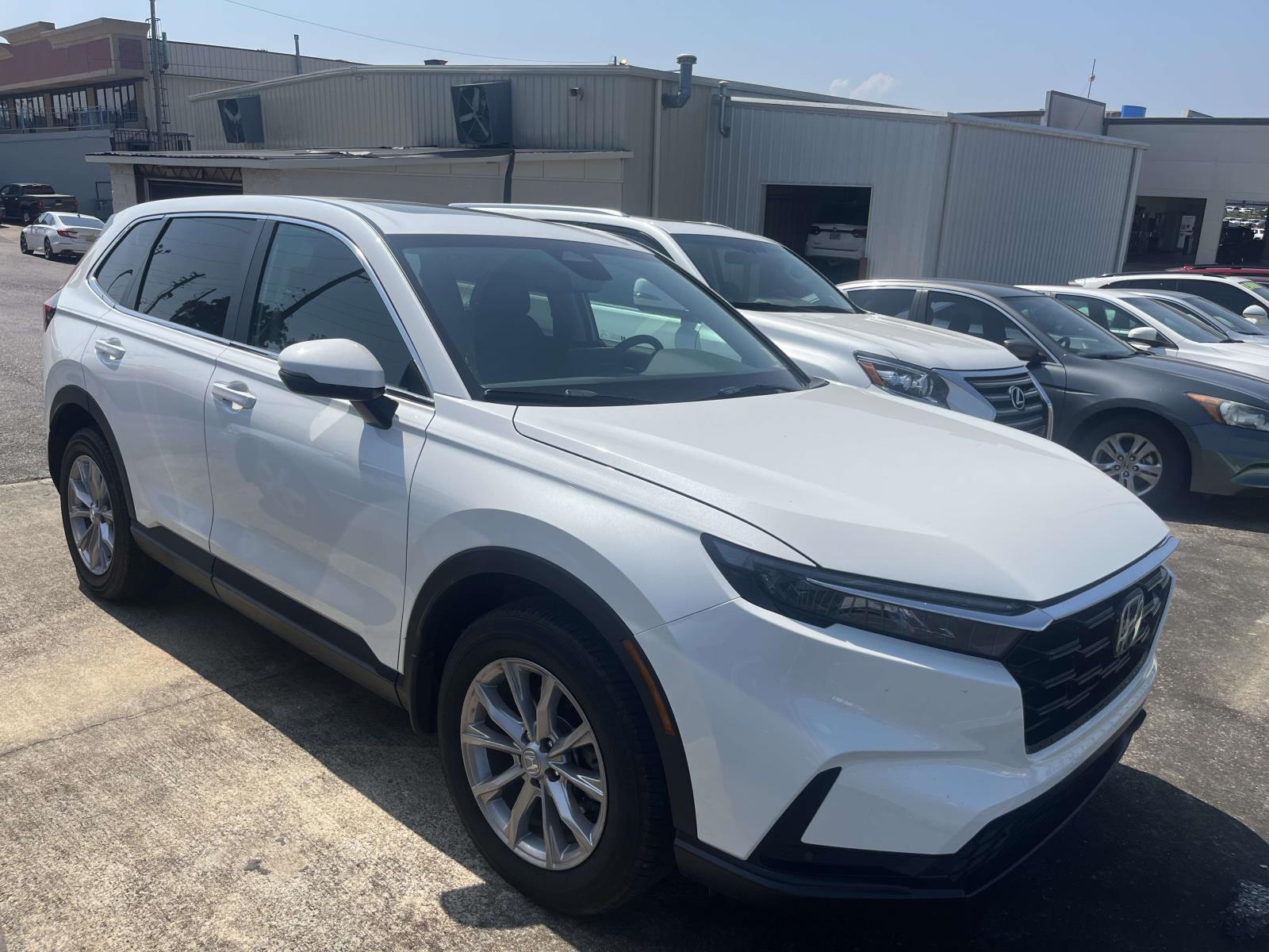 2025 Honda CR-V EX-L AWD's photo