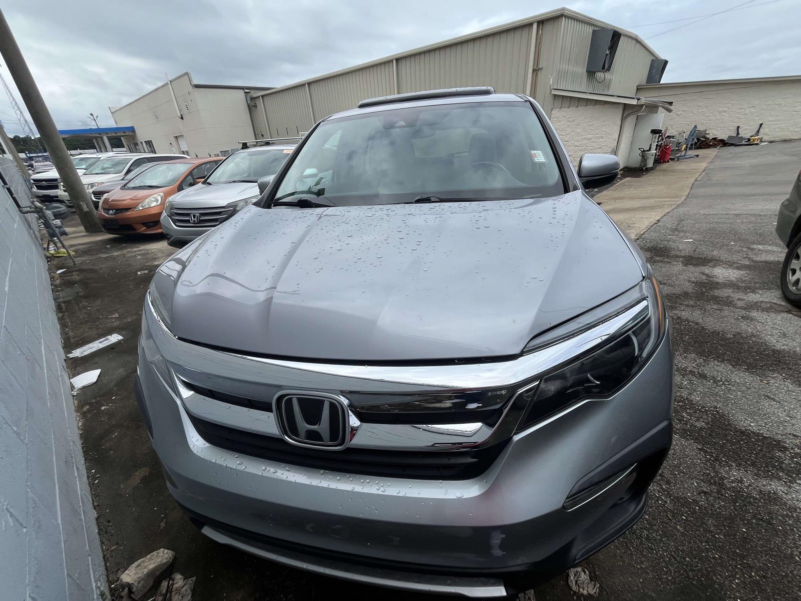 2019 Honda Pilot 2WD EX-L's photo