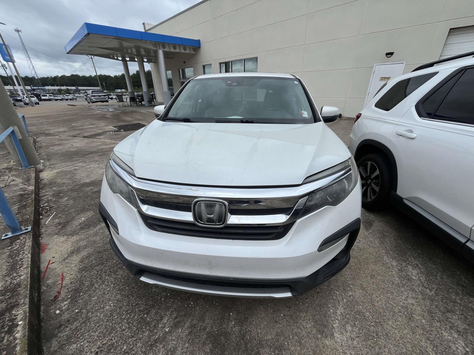 2020 Honda Pilot 2WD EX-L's photo