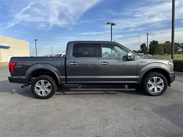 2019 Ford F-150 Platinum photo 4
