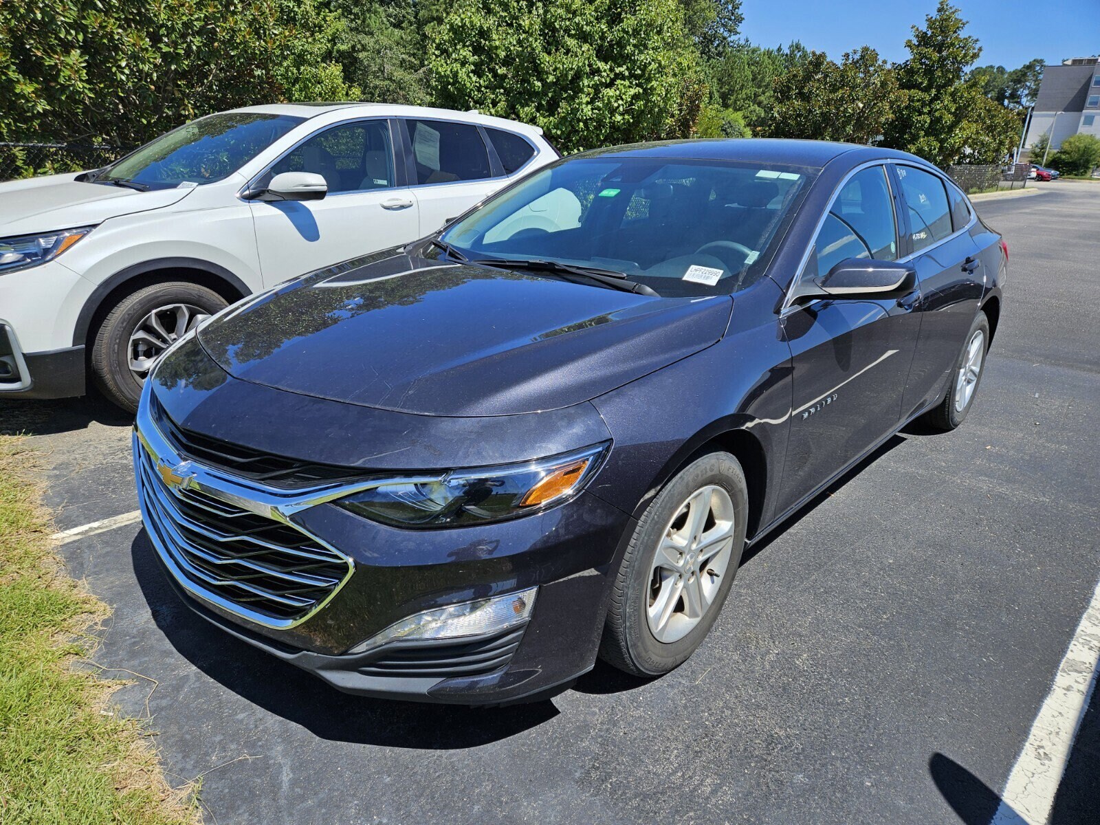 2023 Chevrolet Malibu 1LT photo 3