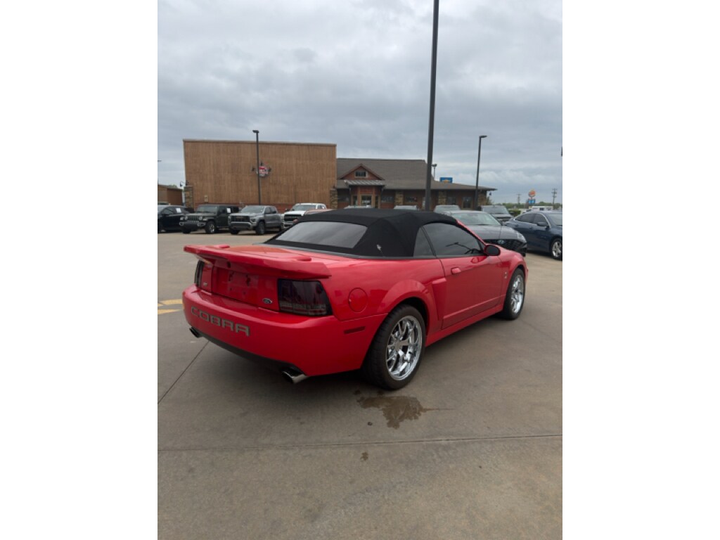 Used 2004 Ford Mustang SVT Cobra Convertible