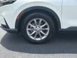 2025 Honda CR-V EX-L SUV