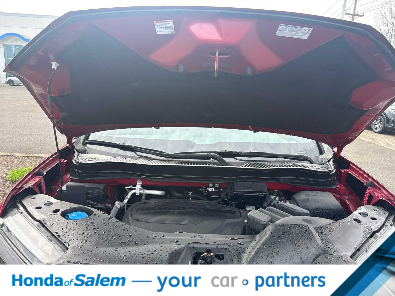 Thumbnail: 2023 Honda Passport - 9