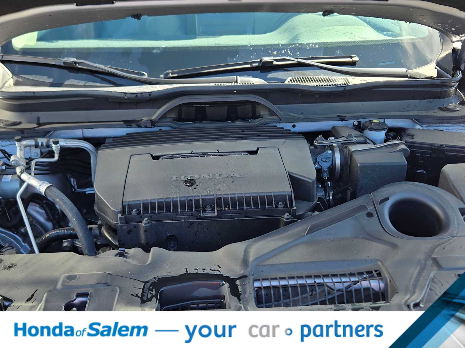 Thumbnail: 2025 Honda Pilot - 7