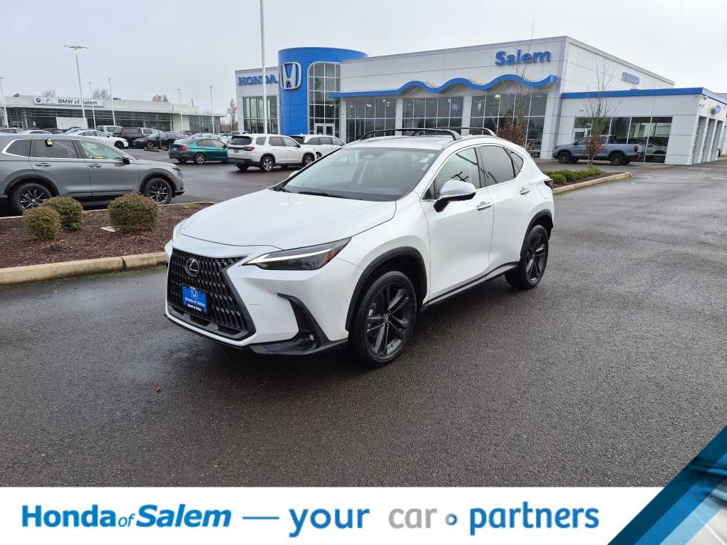 2023 Lexus NX PHEV 450h+'s photo
