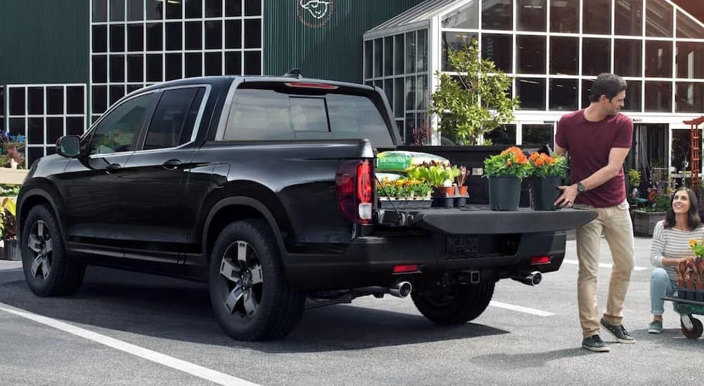 A black 2025 Honda Ridgeline parked near a greenery.