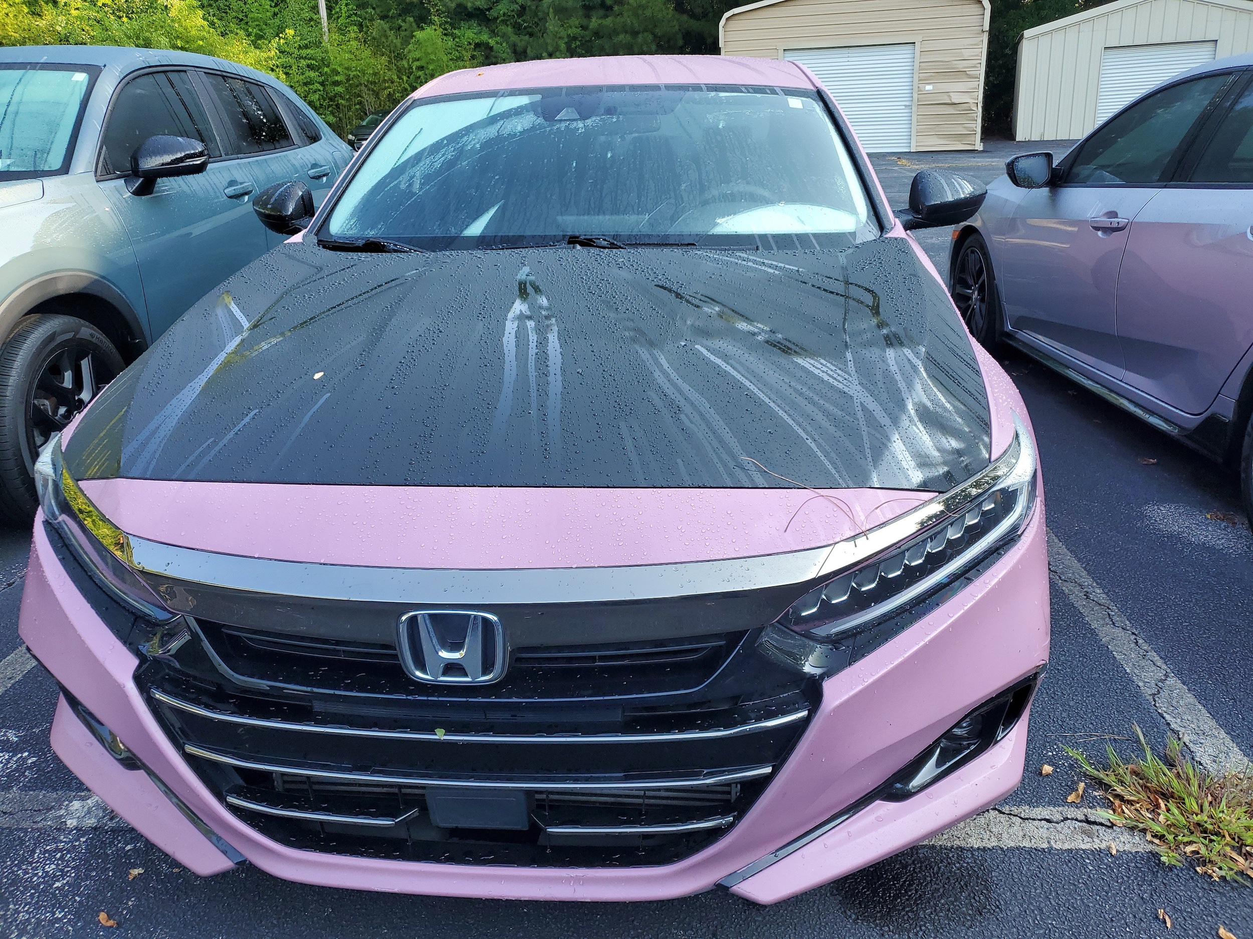 Used 2021 Honda Accord Sport with VIN 1HGCV1F36MA120991 for sale in Northfield, Minnesota