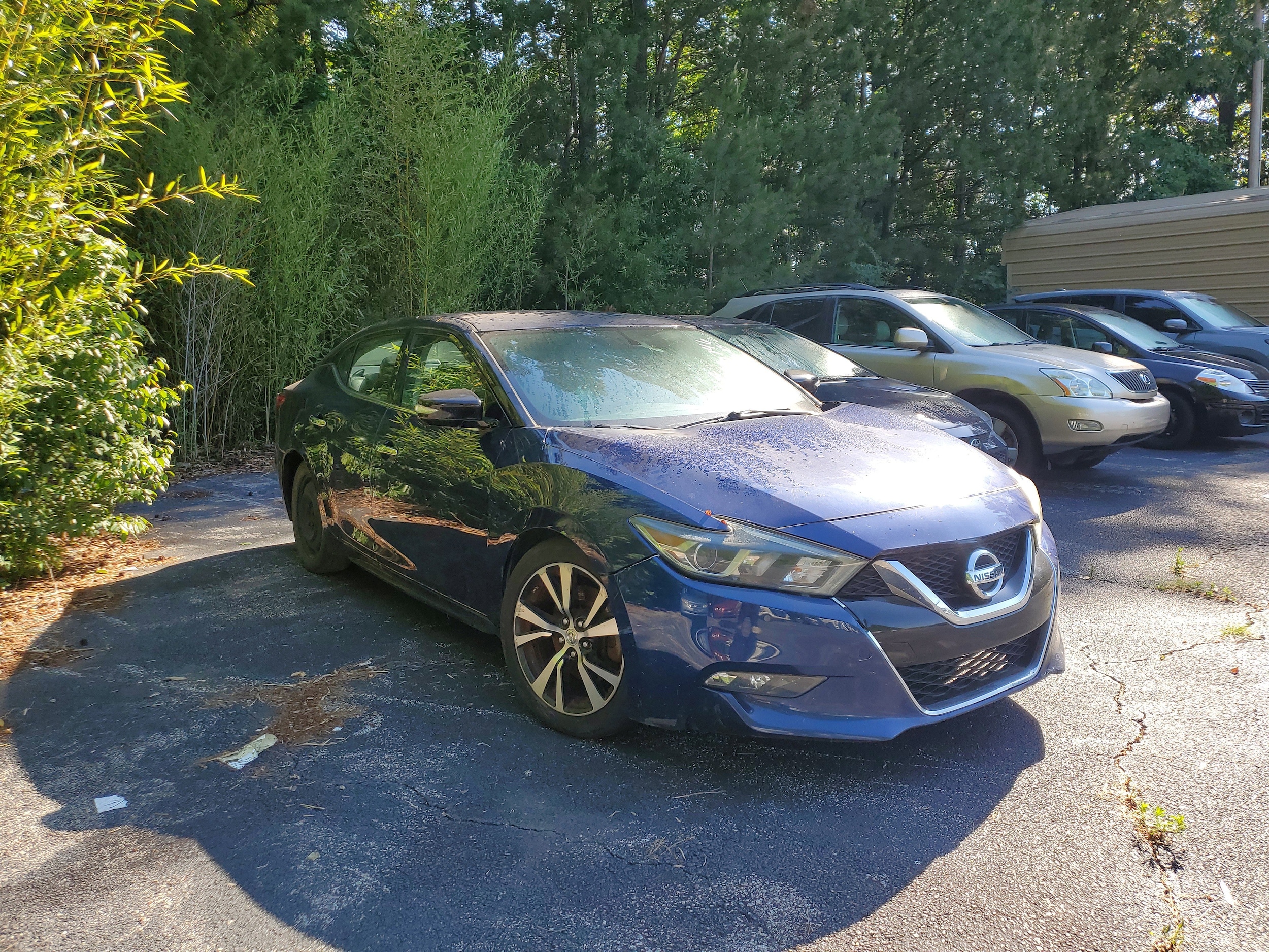 2018 Nissan Maxima SV's photo