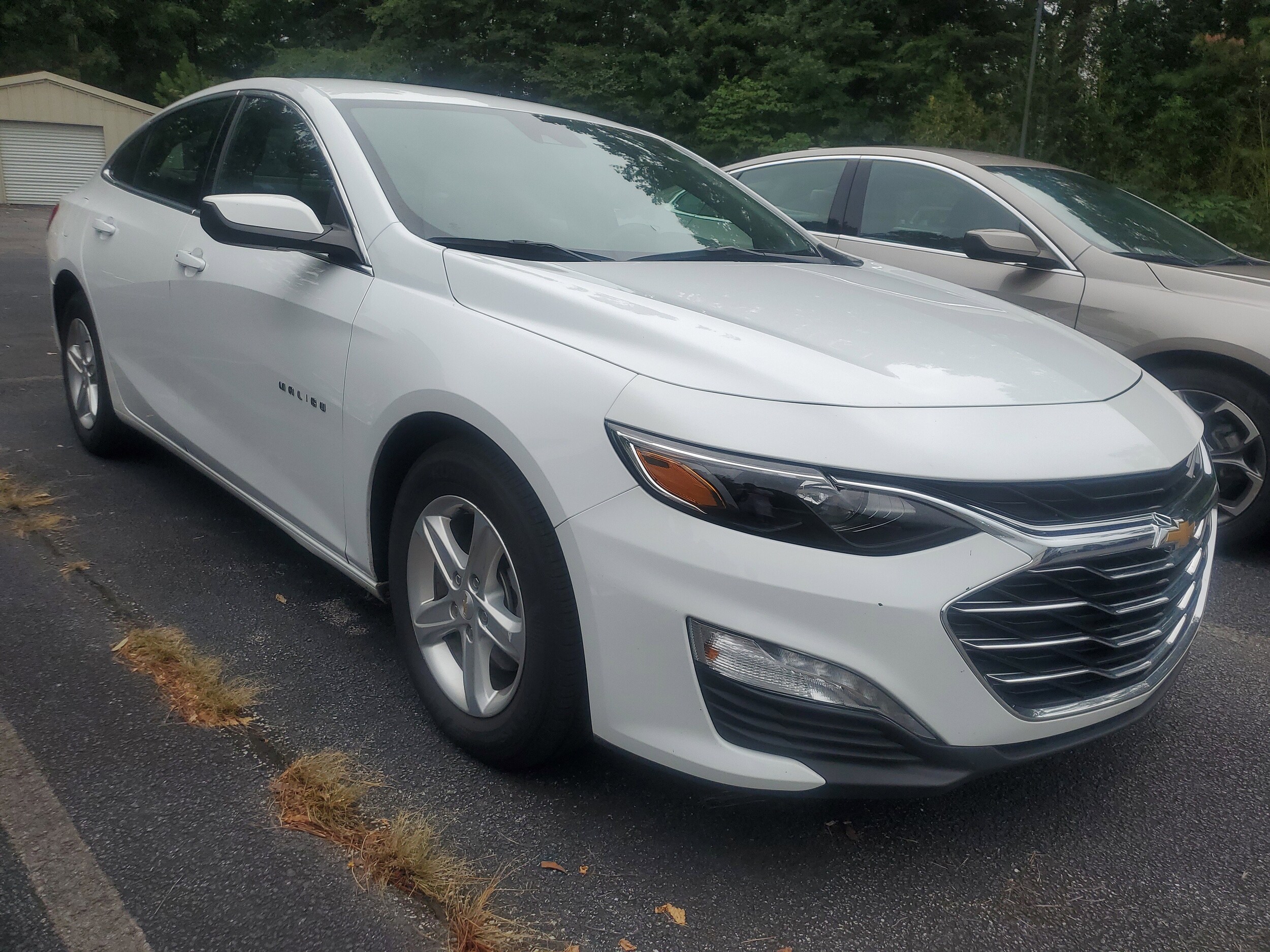 2024 Chevrolet Malibu 1LT photo 2