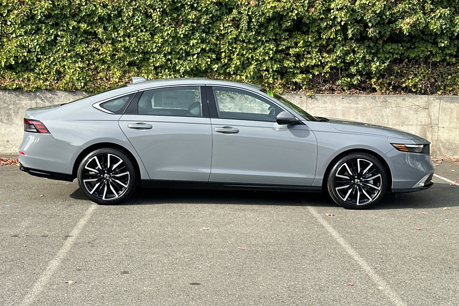 2025 Honda Accord Hybrid Touring photo 3