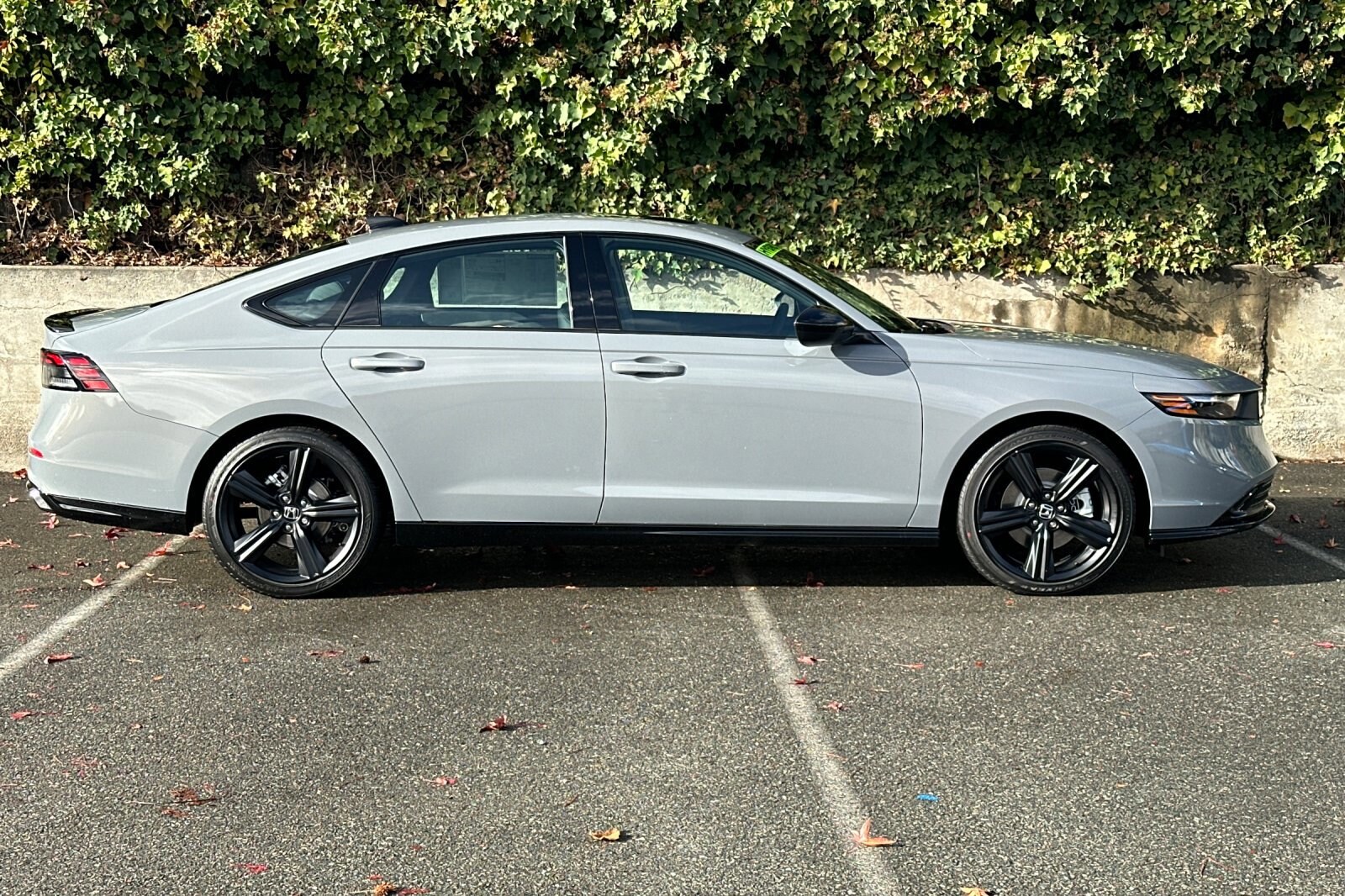 2025 Honda Accord Hybrid Sport-L photo 3