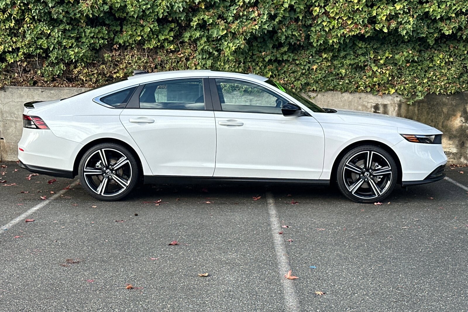 2025 Honda Accord Sport photo 3