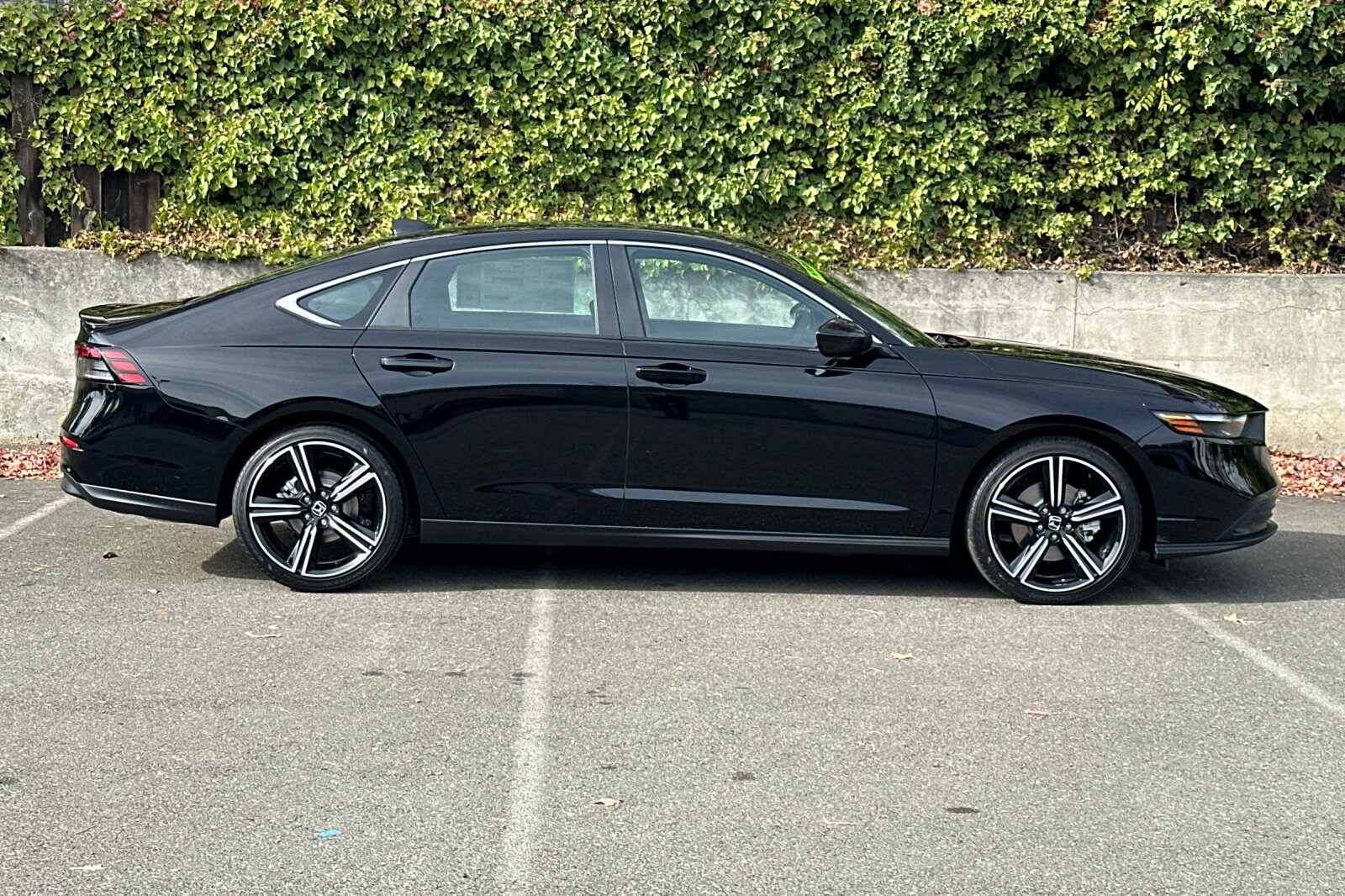 2025 Honda Accord Hybrid Sport photo 3