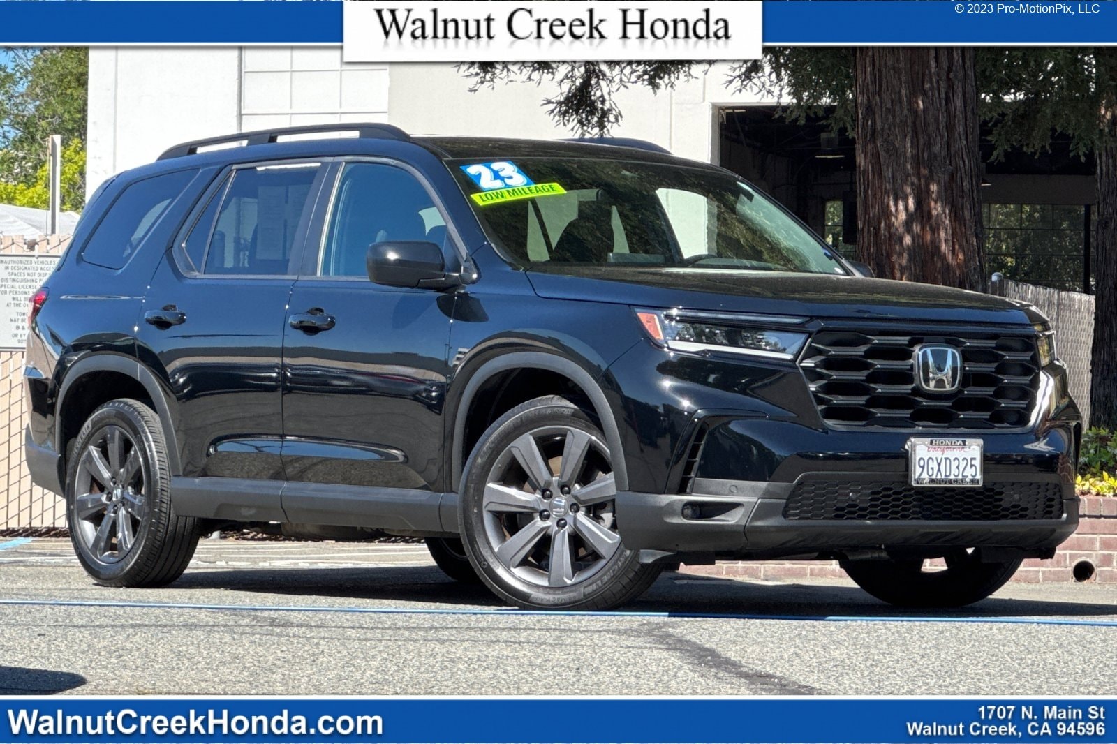 2023 Honda Pilot Sport AWD's photo