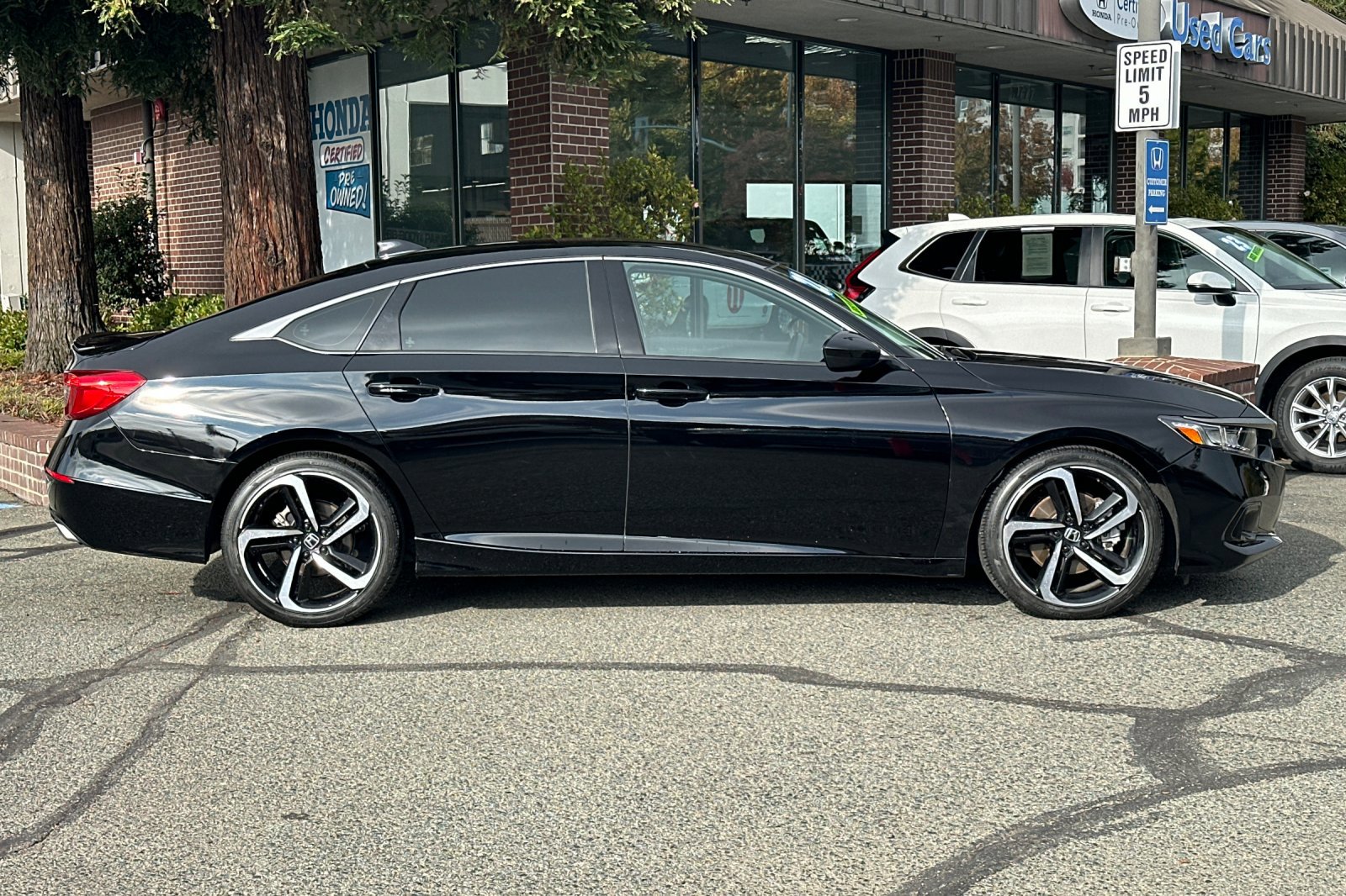 2022 Honda Accord Sport 1.5T photo 3
