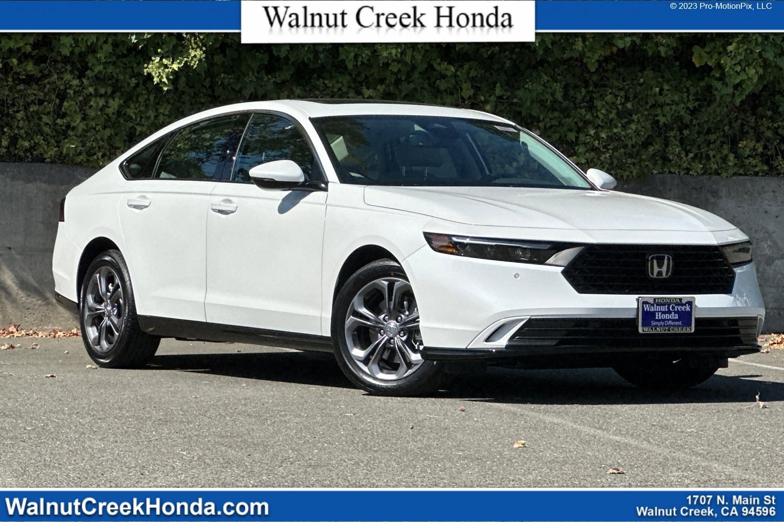 2025 Honda Accord Hybrid EX-L's photo