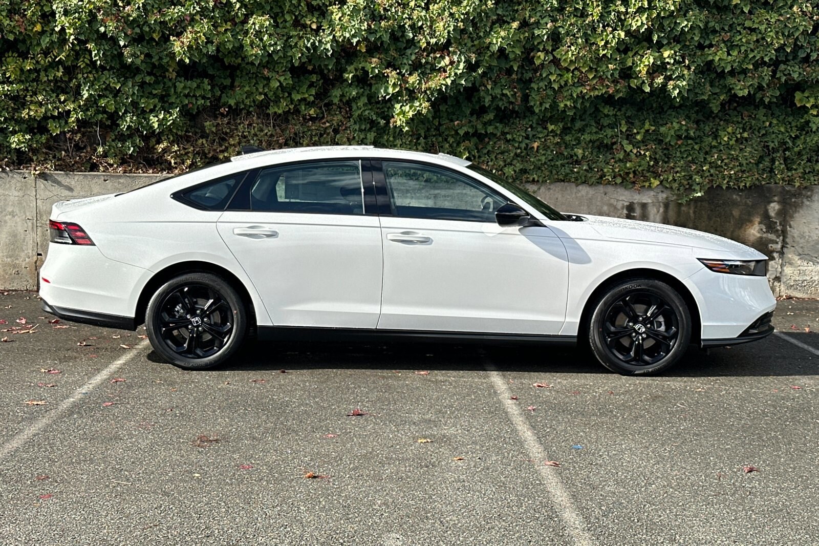 2025 Honda Accord SE photo 3