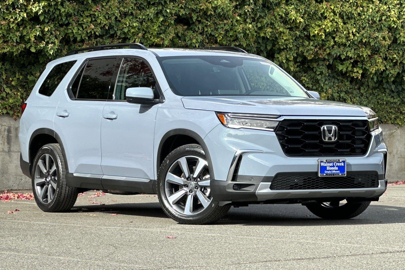 2025 Honda Pilot Touring photo 2