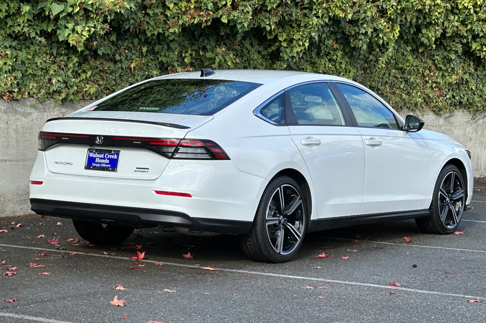 2025 Honda Accord Sport photo 4