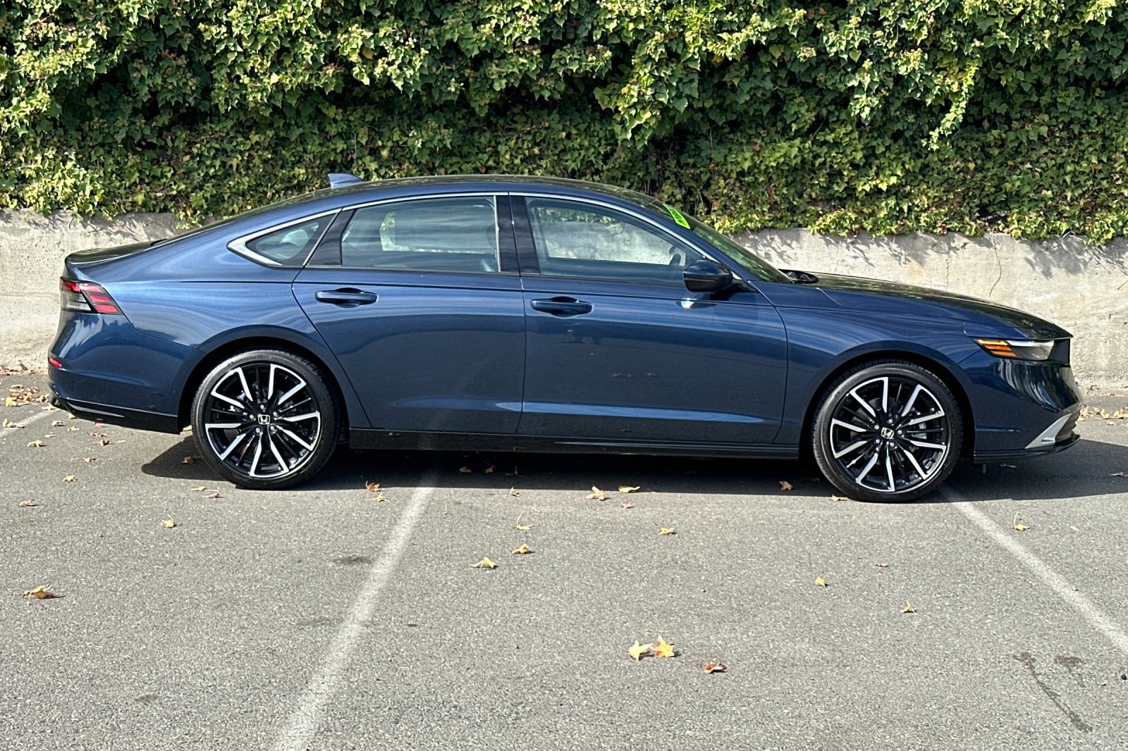 2025 Honda Accord Hybrid Touring photo 3