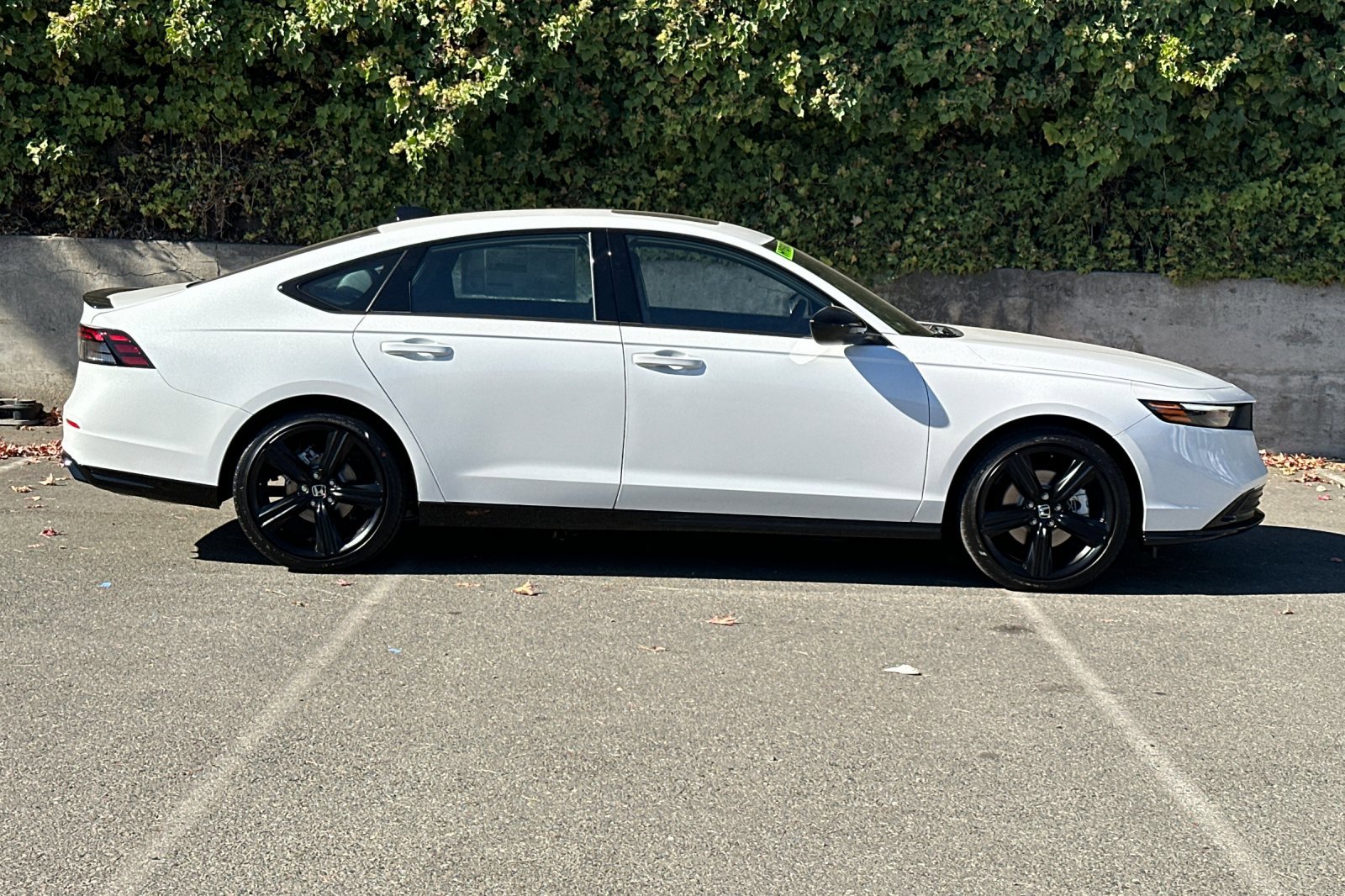 2025 Honda Accord Hybrid Sport-L photo 3