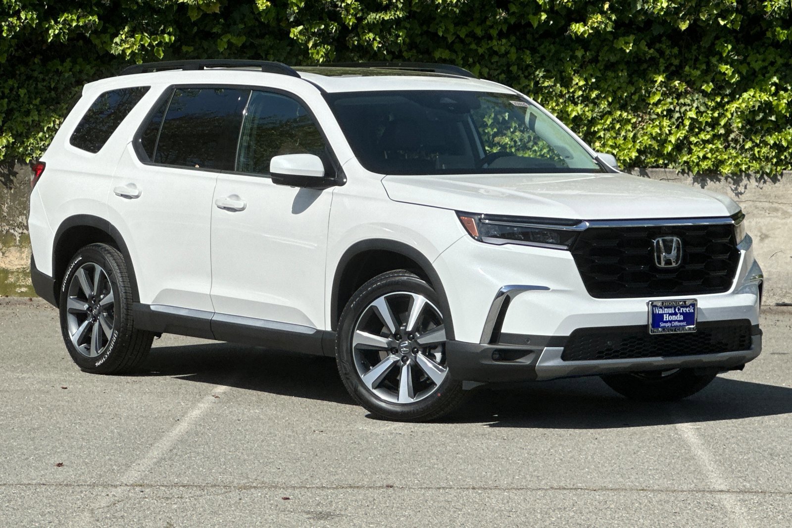 2025 Honda Pilot Elite photo 2