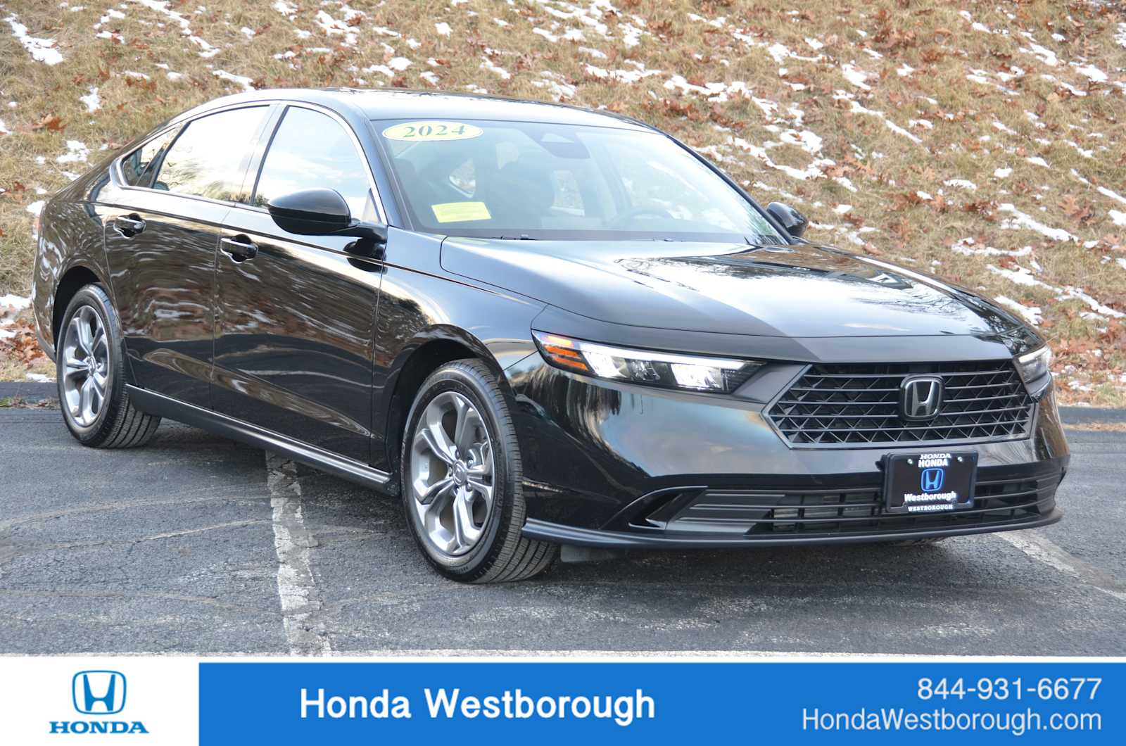 2024 Honda Accord EX's photo