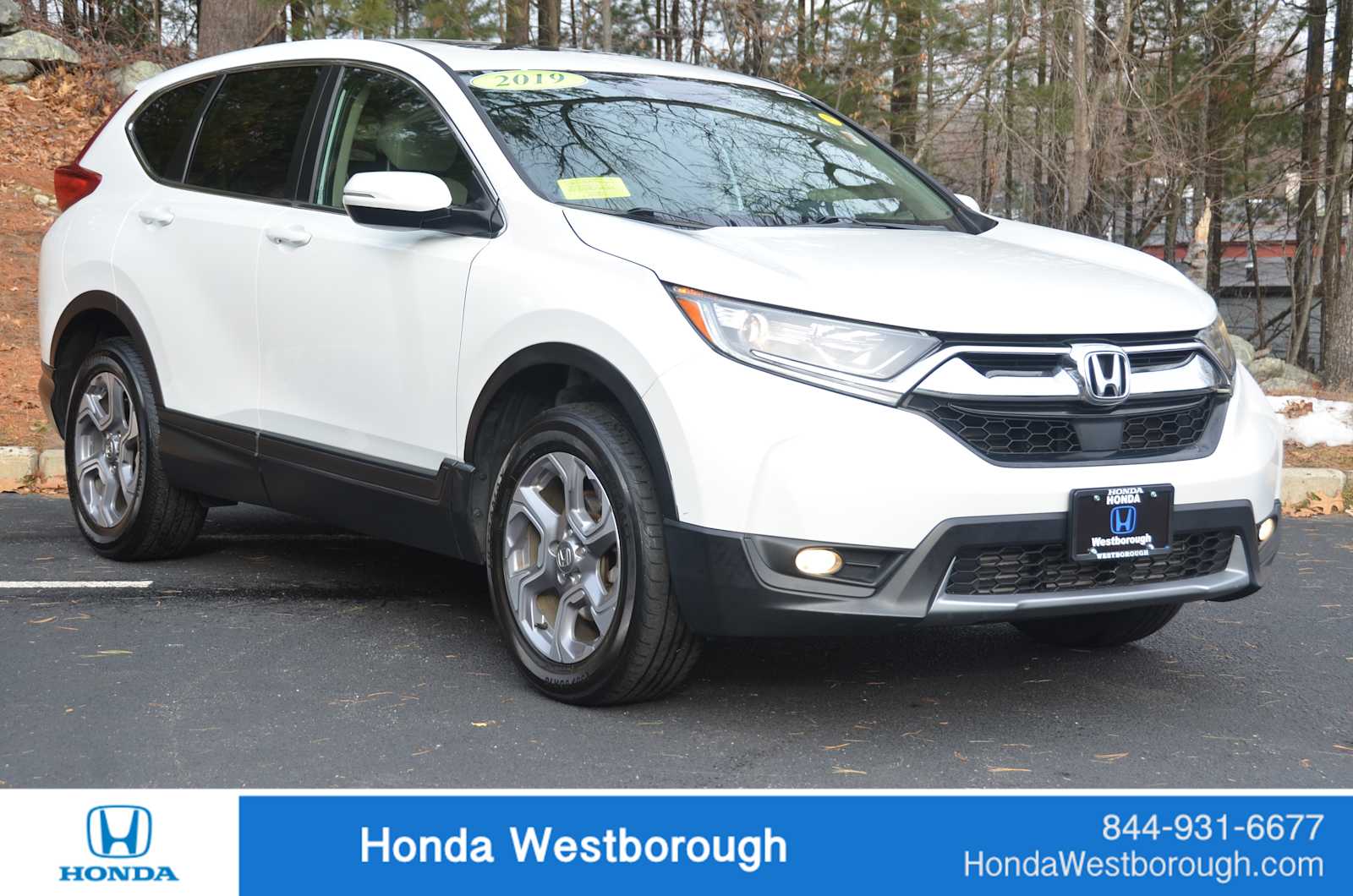 2019 Honda CR-V EX's photo