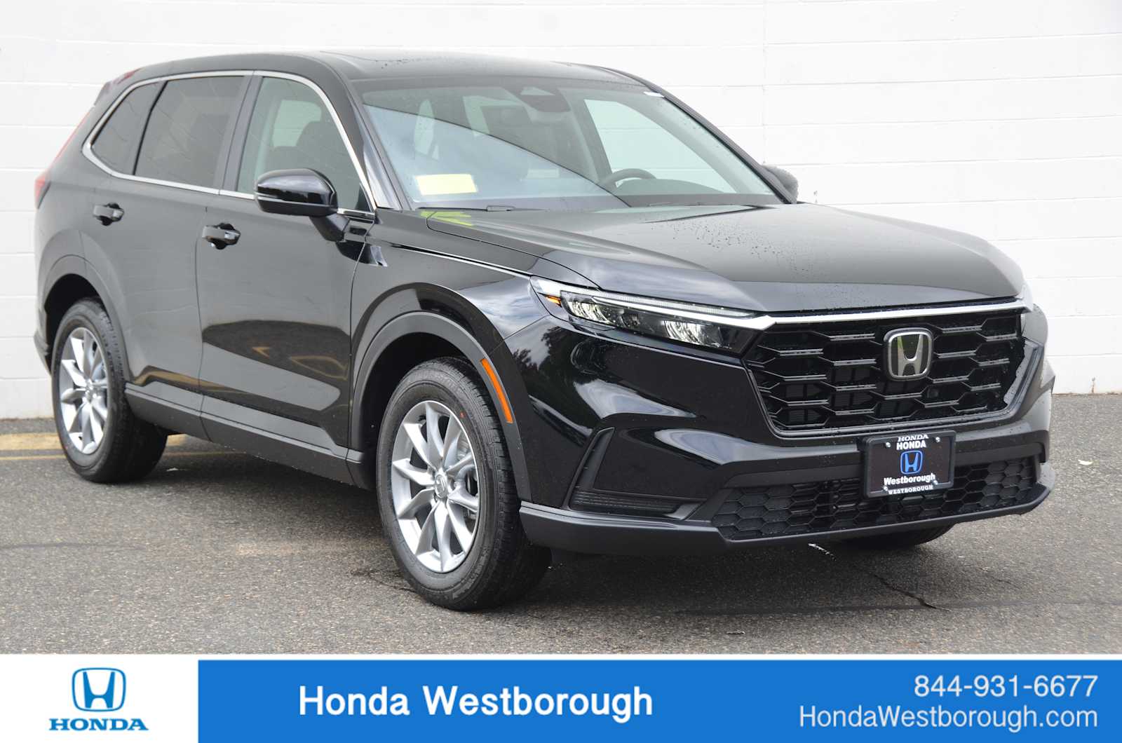 2026 Honda CR-V EX AWD's photo