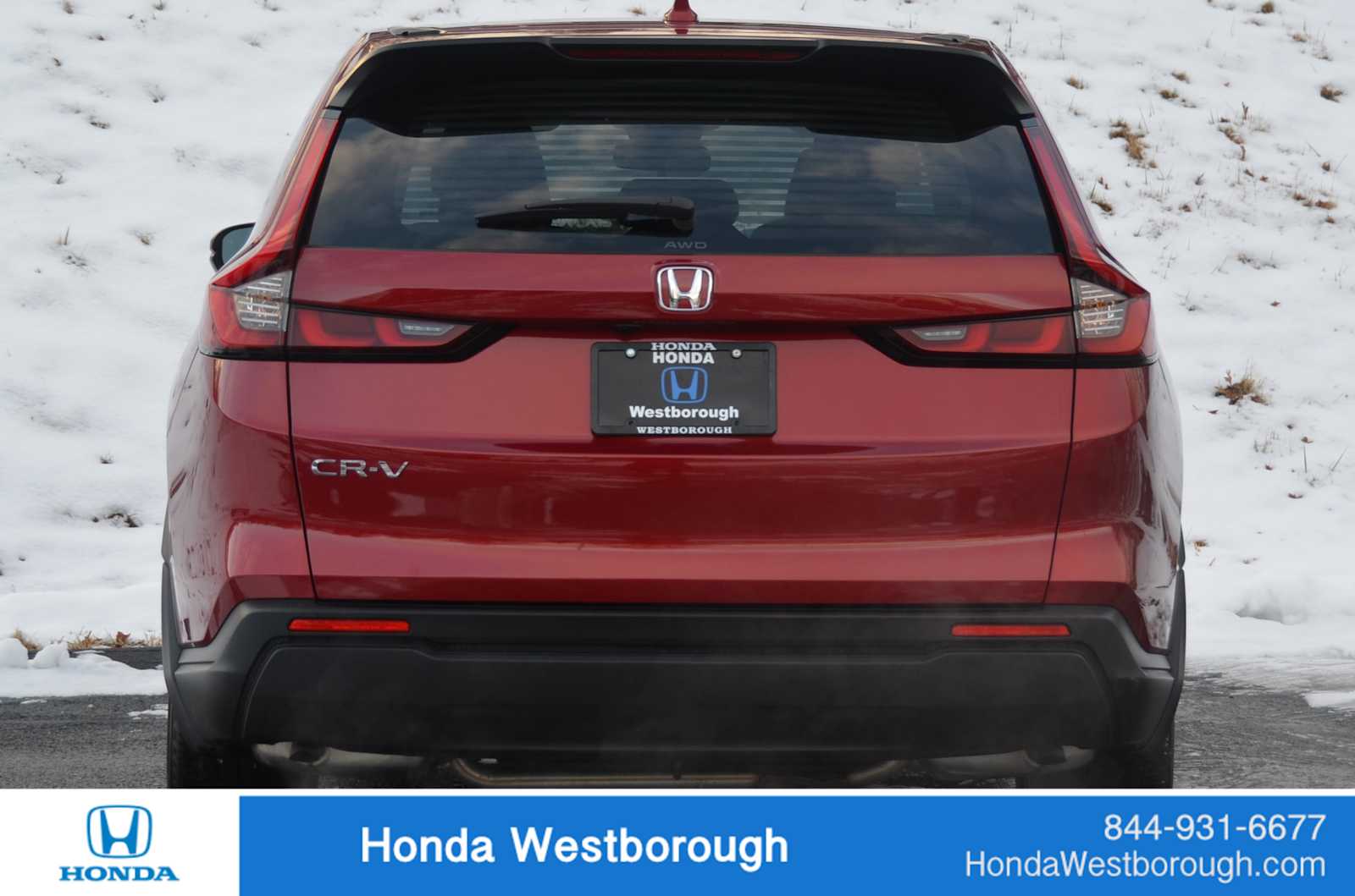 2024 Honda CR-V EX's photo