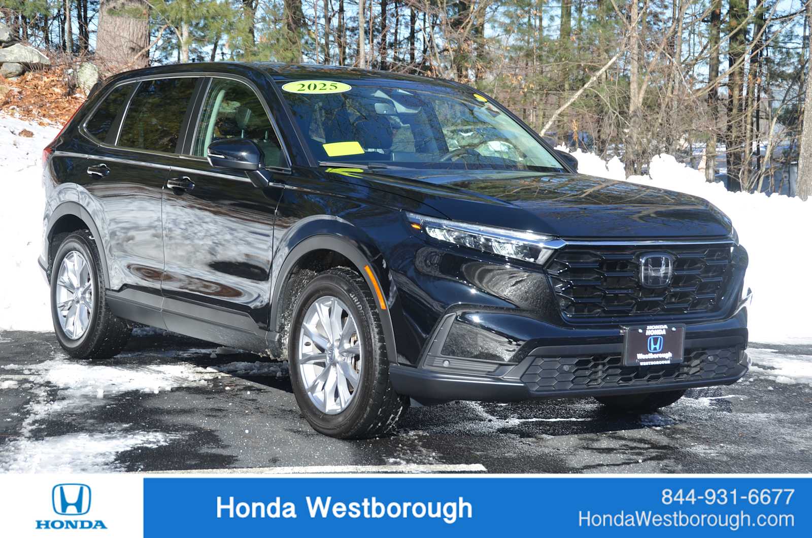 2025 Honda CR-V EX-L's photo