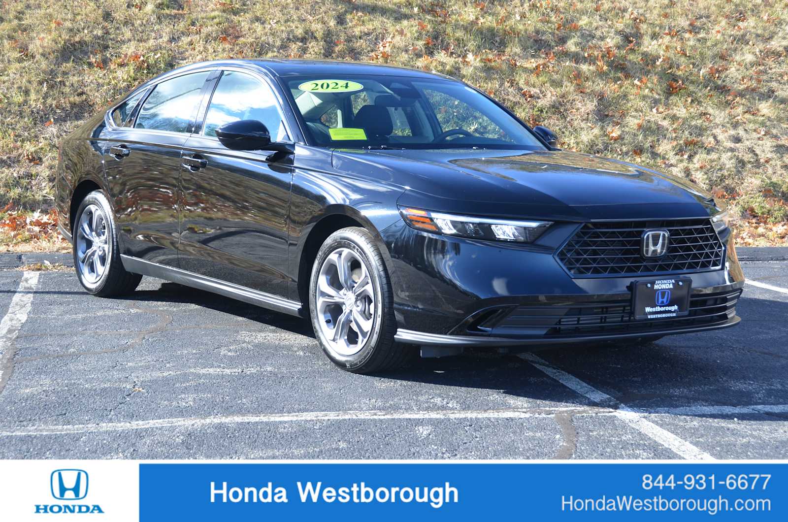 2024 Honda Accord EX's photo